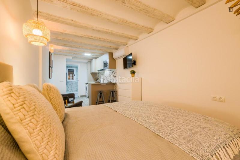 Foto e3bdb40a-6468-47e2-9472-57ae4258b9cb. Alquiler estudio en Raval Barcelona
