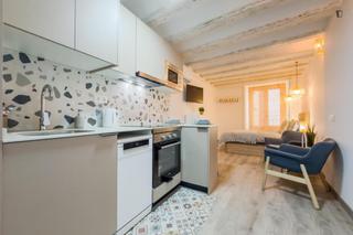 Miete Studiowohnung in Raval