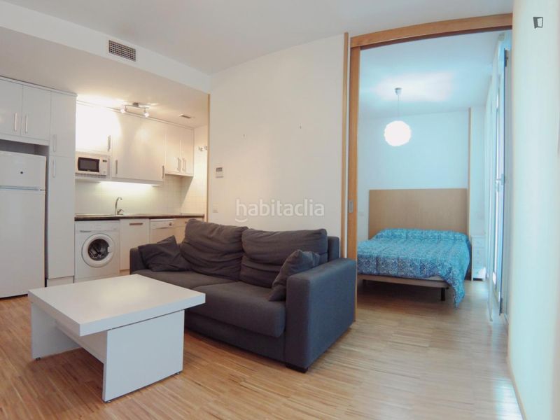Foto 4ed01df2-9401-4b06-977b-ad532b0548f7. Location studio dans Cortes-Huertas Madrid