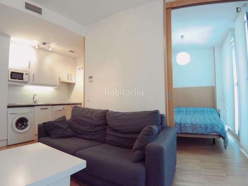 Foto 72bd2ce3-6163-456b-abeb-b1d68067875f. Location studio dans Cortes-Huertas Madrid