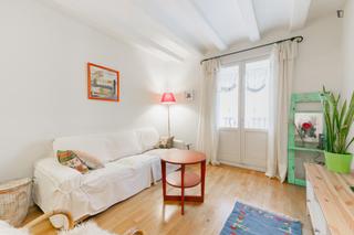 Lloguer Apartament a St. Pere - Sta. Caterina - El Born