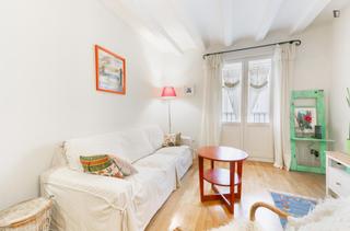 Rent Apartment in St. Pere - Sta. Caterina - El Born