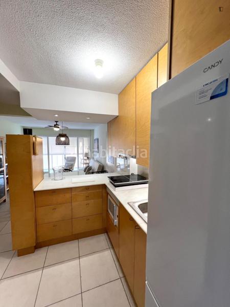 Foto f649f801-f493-4317-a12b-e9c352a06399. Location appartement dans Playa Muchavista Campello (el)