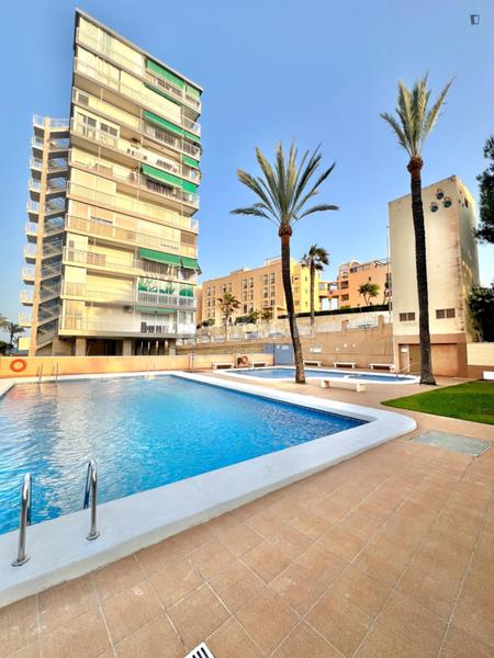 Foto 6ea716bb-fa34-41f9-898e-738c09897879. Affitto piccolo appartamento in Playa Muchavista Campello (el)