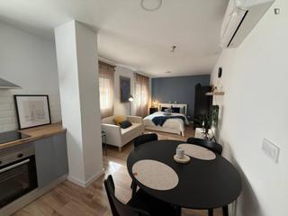 Miete Studiowohnung in Pla de Bon Repós