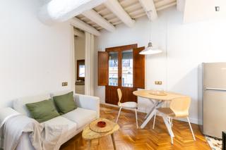 Appartement in St. Pere - Sta. Caterina - El Born
