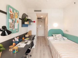Rent Flat in Sant Ramon - Maternitat