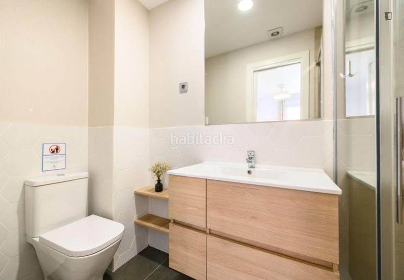 Foto 4dfe6150-0176-4ce6-93b5-72fffa74ea0c. Alquiler apartamento en Ventas Madrid