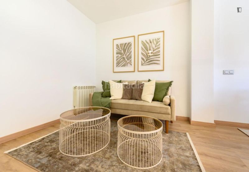 Foto 6f9797d2-3e79-45ad-bb73-c9d55aa471a8. Alquiler apartamento en Ventas Madrid