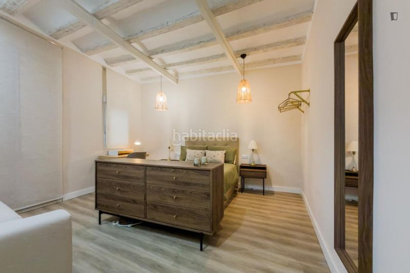 Foto 229df60c-24da-4c0b-b086-ca4e9086d36a. Alquiler apartamento en Gòtic Barcelona