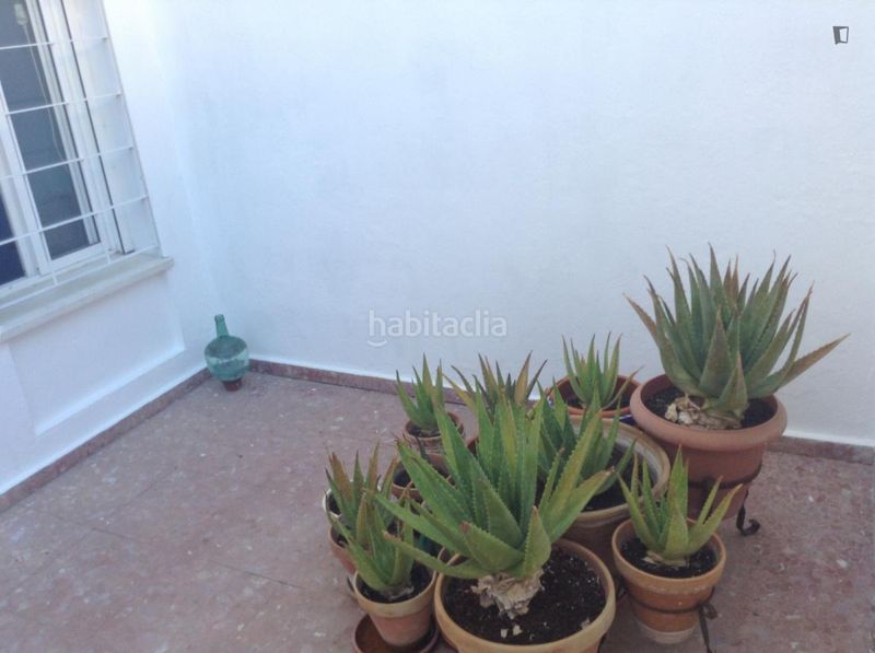 Foto 0e9d769d-8ceb-423a-9e30-4295b436752e. Lloguer casa amb calefacció a colores - entreparques Sevilla