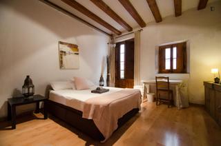 Location Appartement à Gòtic