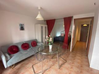Affitto Monolocale in Raval