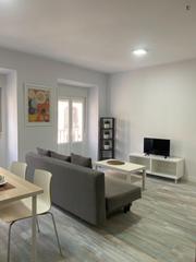 Lloguer Apartament a Embajadores-Lavapiés
