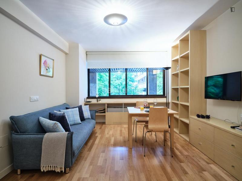 Foto b9ed7606-6c12-42f8-8557-2c93858319fe. Location studio avec chauffage dans Lista Madrid