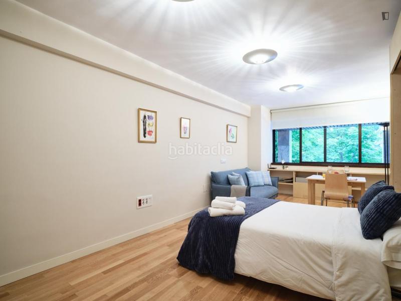 Foto fad2de8f-8df6-4b72-8032-f2cec60a0203. Rent studio with heating in Lista Madrid