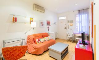 Affitto Monolocale in Universidad-Malasaña