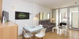 Alquiler Apartamento en Embajadores-Lavapiés