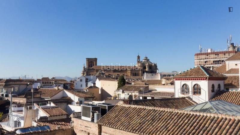 Foto d1c1dd21-6692-4282-96c5-7881a796a284. Alquiler estudio en San Matías - Realejo Granada