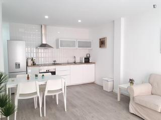 Location Appartement à L´Amistat