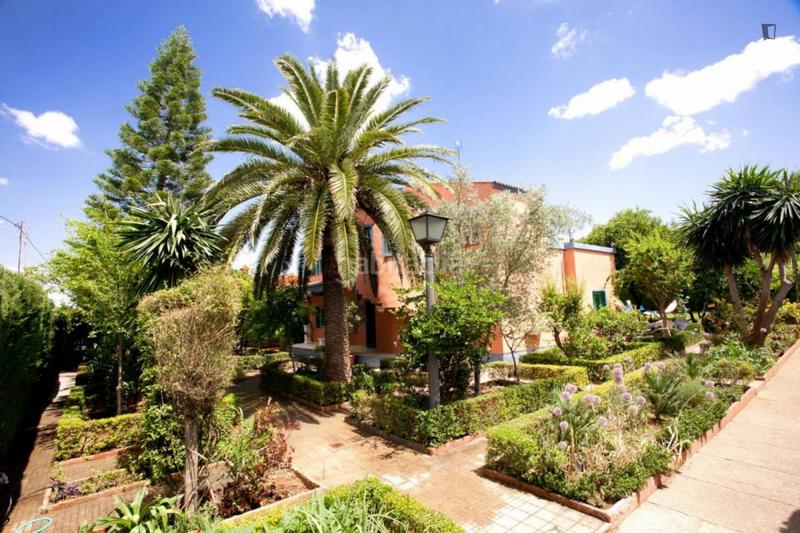 Foto 865e6126-f4bf-46e3-a5f6-36559abb3592. Alquiler casa en La Paz Alcalá de Guadaira