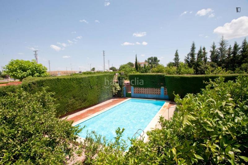 Foto f2aea497-4583-4f73-8656-3edbe7c131f6. Alquiler casa en La Paz Alcalá de Guadaira