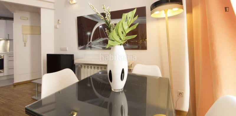 Foto 13aa3067-f980-4188-9335-50d860b7f16a. Lloguer apartament amb calefacció a Sol Madrid