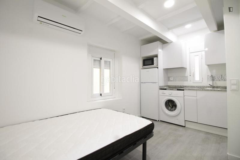 Foto a90f74d7-3737-405f-9379-a0a8ec7f9bd1. Rent studio in Bellas Vistas Madrid