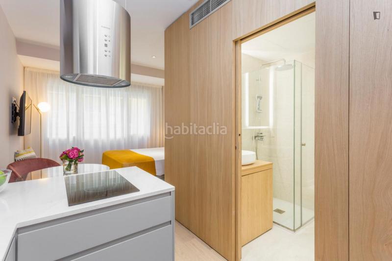 Foto 09dfeed8-1a27-42e3-a01c-7e0d16161df5. Alquiler estudio en Justicia-Chueca Madrid