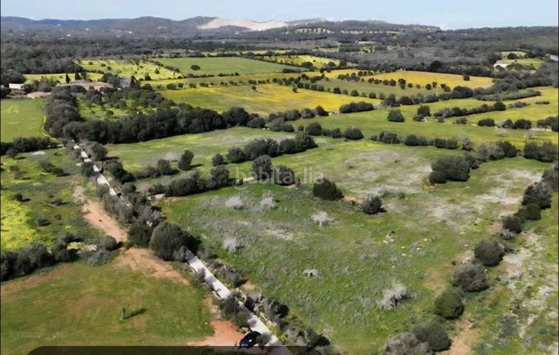 Foto e5b652f4-1e97-42a0-8307-f1095a2445df. Finca rústica a Llucmajor interior Llucmajor