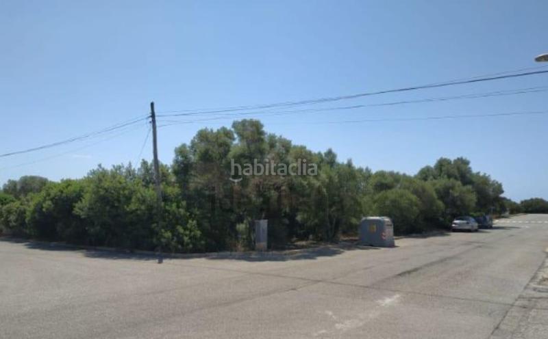 Foto 3310ac4a-e5c1-4bad-b10e-ff319fb8d179. Terreny residencial a Badia Blava-Badia Gran-Tolleric Llucmajor