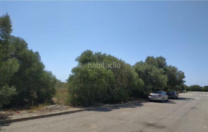 Foto 61de3453-5e00-4c98-ada0-8a8a6a51281a. Terreny residencial a Badia Blava-Badia Gran-Tolleric Llucmajor
