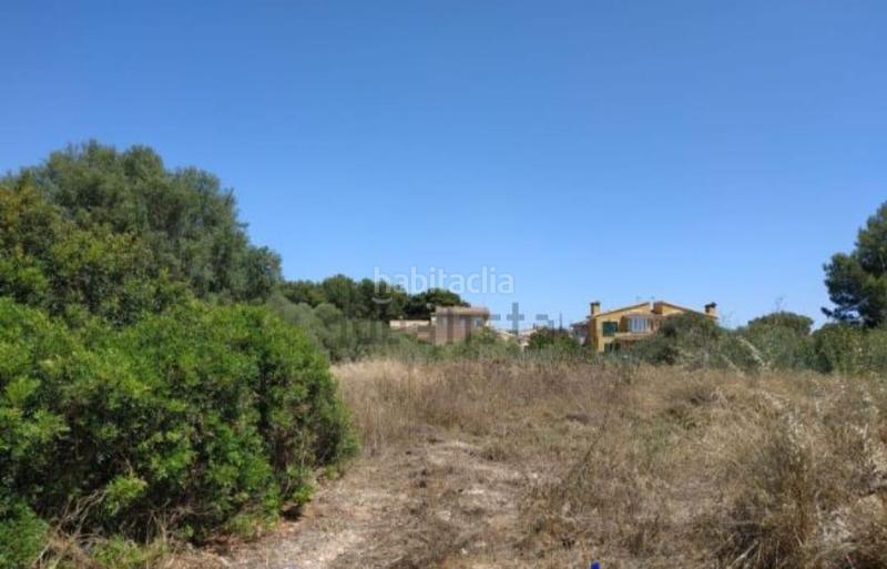 Foto 8e035b66-54de-49bf-8c5e-e76e9d271117. Terreny residencial a Badia Blava-Badia Gran-Tolleric Llucmajor