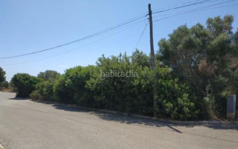 Foto c856ecaf-ee1d-4a05-80ae-6411be0e0474. Terreny residencial a Badia Blava-Badia Gran-Tolleric Llucmajor