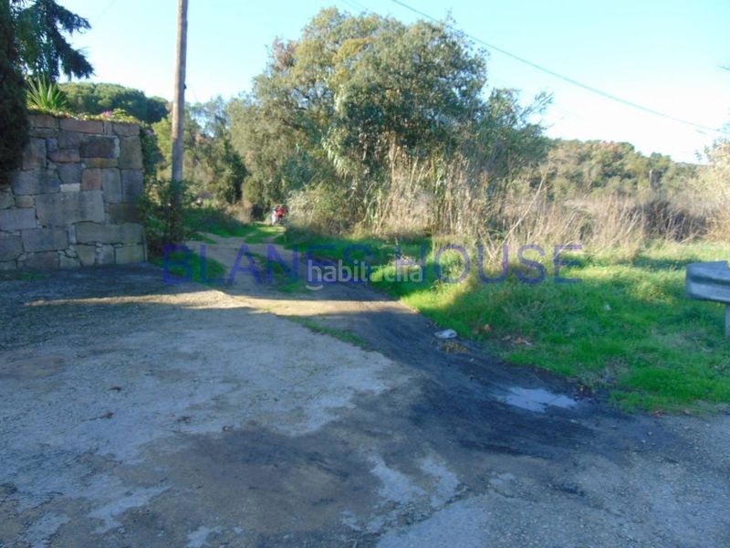 Foto 16fc2bd2-4b66-449e-8637-c596eedd08d6. Finca rústica a Palafolls