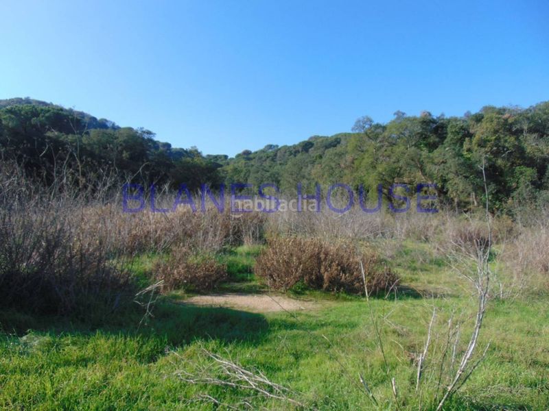 Foto 63fe2618-a32e-47bb-94fb-63a00f693ae1. Finca rústica a Palafolls