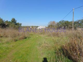 Terreny residencial a Palafolls. Finca rústica en venta