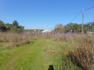 Rural plot in Palafolls. Finca rústica en venta