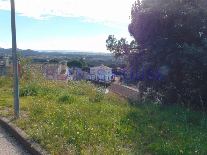 Foto a980707c-95fc-4632-8e46-87d86e2b1c9d. Fondo rustico in Mas Mora-Sant Daniel Tordera