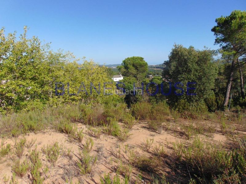Foto c603f8be-e720-4703-90fe-2e46c791d21a. Terreny residencial a Niàgara Parc -Àgora Parc Tordera