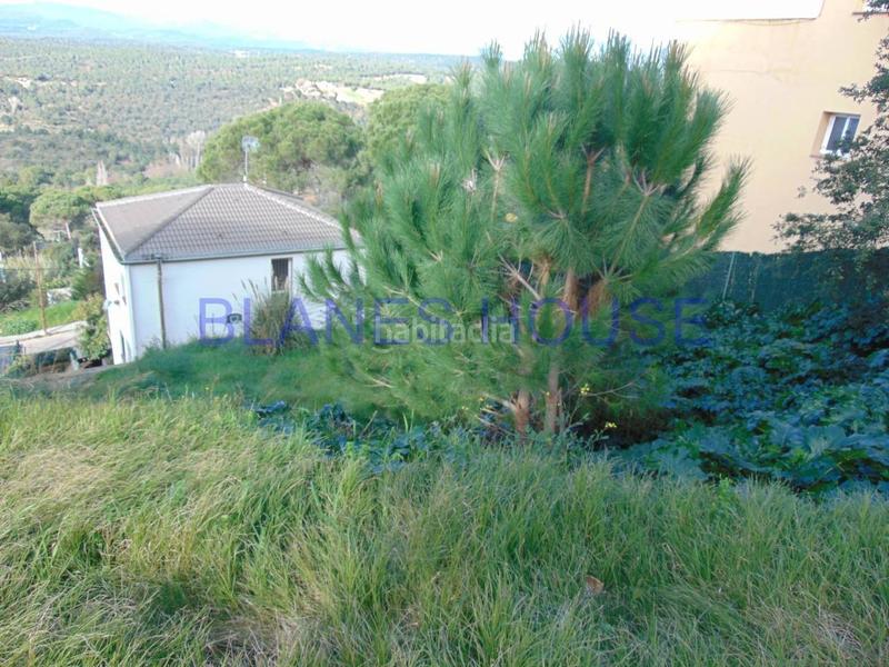 Foto 49b9b75c-96f8-4342-9494-969ef0b73dfe. Finca rústica terreno de nueva construcción en venta en Tordera