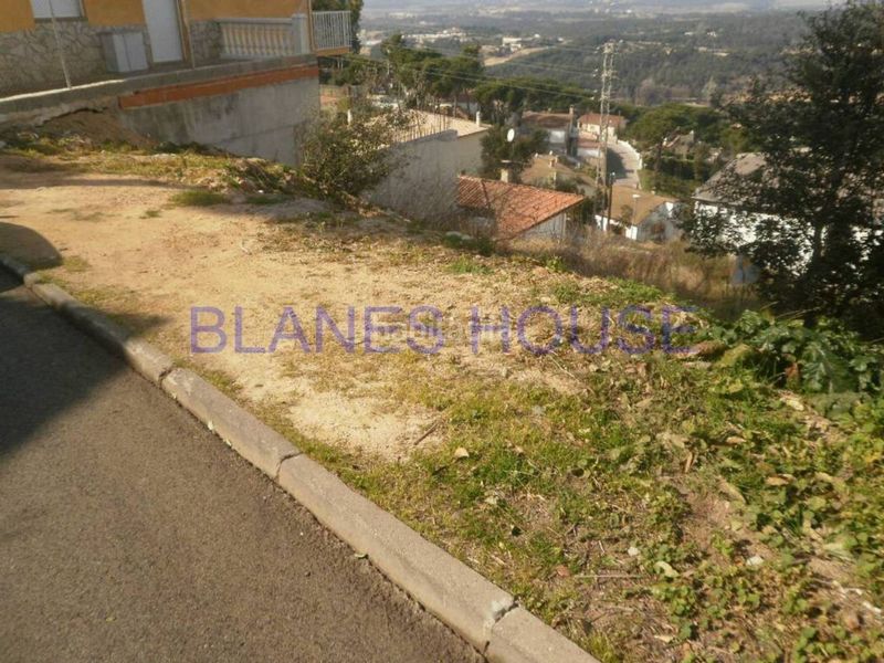 Foto fd1c46bc-b054-4a76-ab19-35c3bf07b3bb. Terreny residencial a Mas Mora-Sant Daniel Tordera