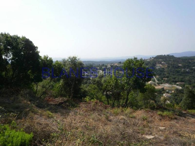 Foto 61eb9aec-7b21-4682-9427-ee559c3ce35e. Rural plot in Riudarenes