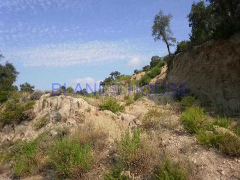 Foto 8ee14e65-4277-448f-b67d-f58ed359d1b3. Rural plot in Riudarenes