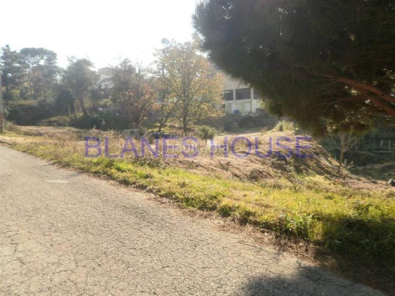 Foto 29e81c3b-6ff2-45ed-9045-3af5e4ca2b22. Finca rústica a Montbarbat Maçanet de la Selva