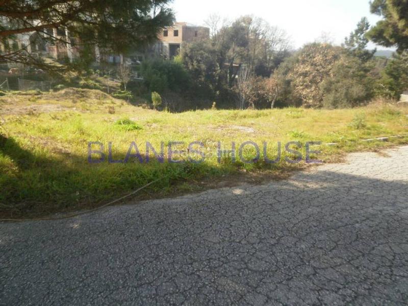 Foto 925d2b91-0dbb-49b6-995f-2e4cc30e70ad. Finca rústica a Montbarbat Maçanet de la Selva