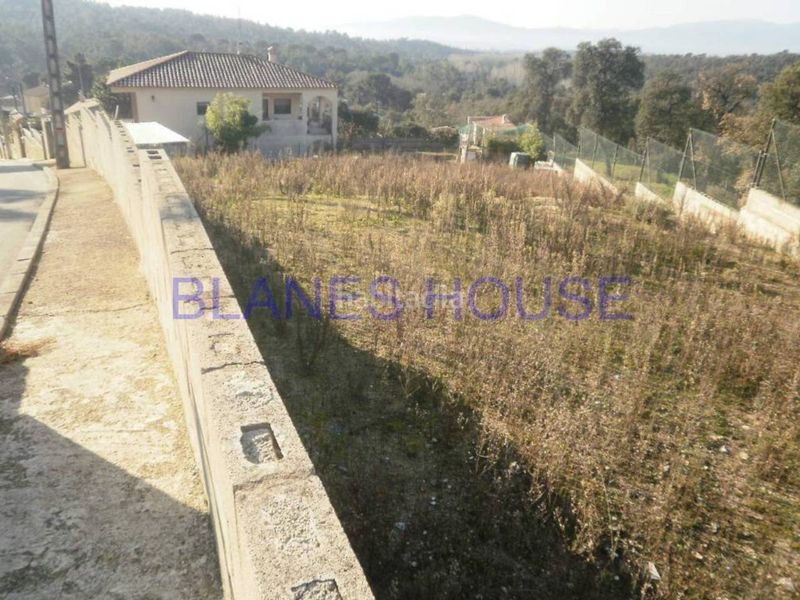 Foto e4fd1d4b-bf43-4490-babe-2565918670c8. Terreny residencial a terrabrava - Tordera parc Tordera