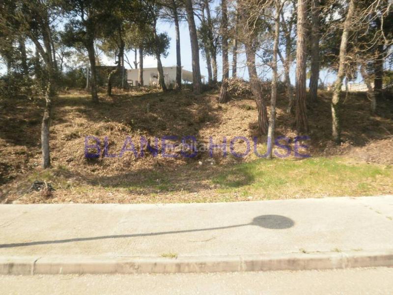 Foto a68a638e-06ab-4031-aba4-2e599b522a0b. Finca rústica terreno de nueva construcción en venta en Vidreres