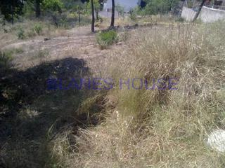 Finca rústica a Residencial Park. Terreno en venta