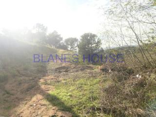Finca rústica a Mas Altaba - El Molí. Terreno de nueva construcción en venta